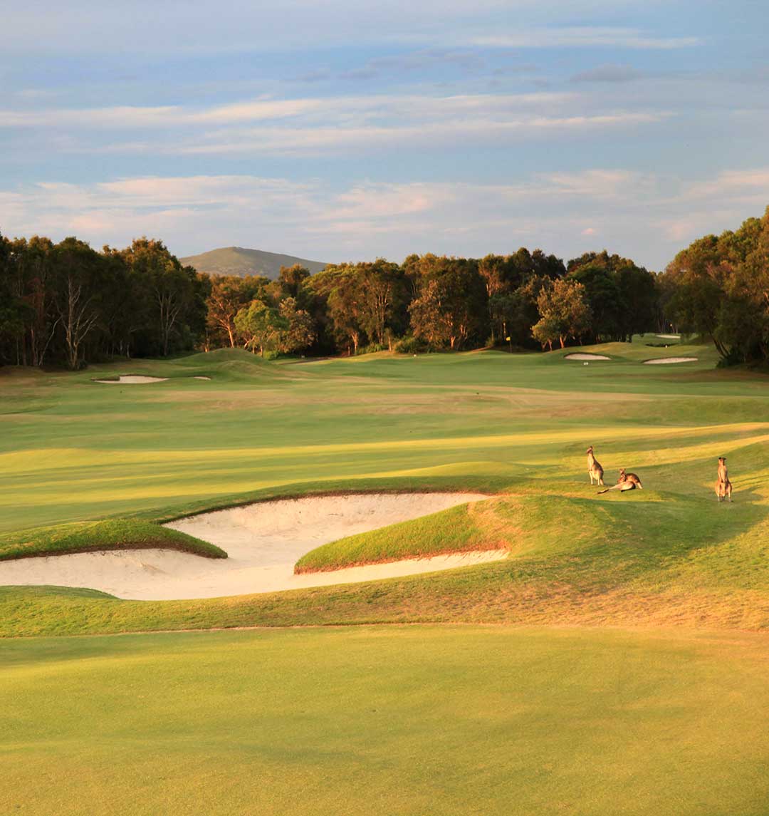 Wed, Fri & Sat Golf Packages
